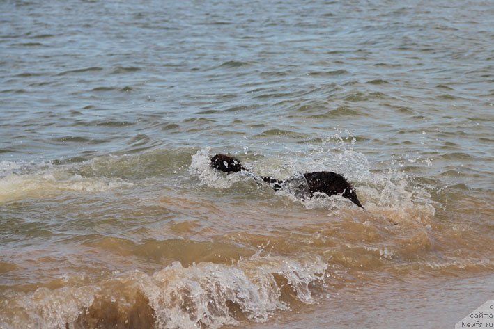 Фотография № 135006