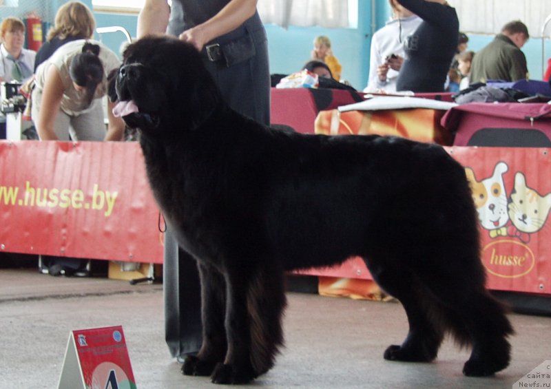 Фотография № 135009