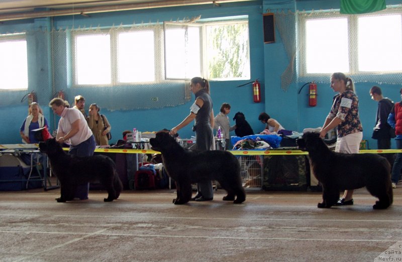 Фотография № 135012