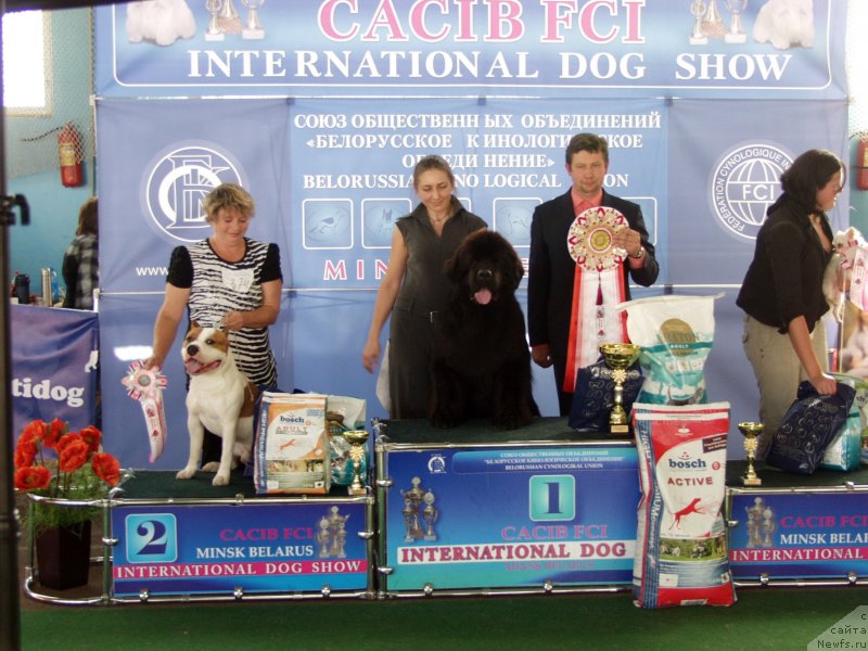 Фотография № 135015