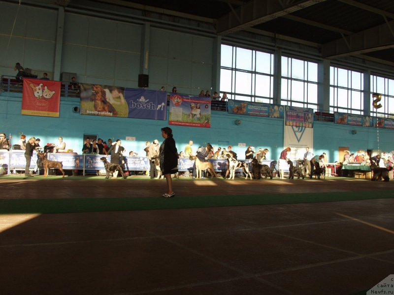 Фотография № 135017