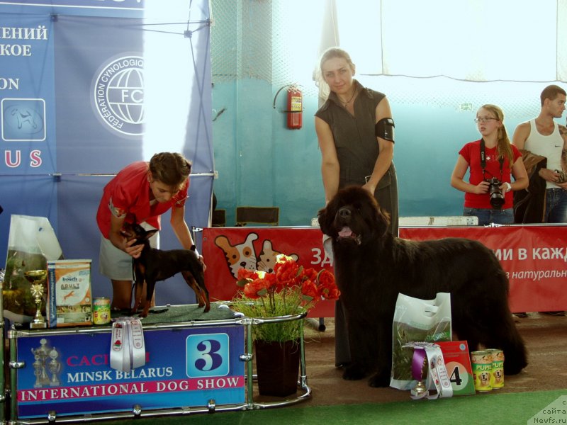 Фотография № 135018