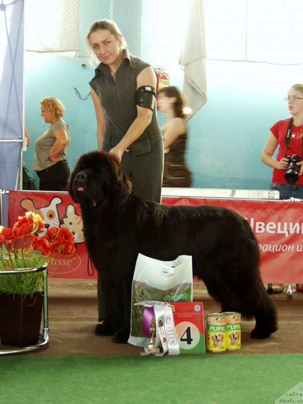 Фотография № 135019