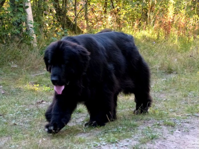 Фотография № 135045