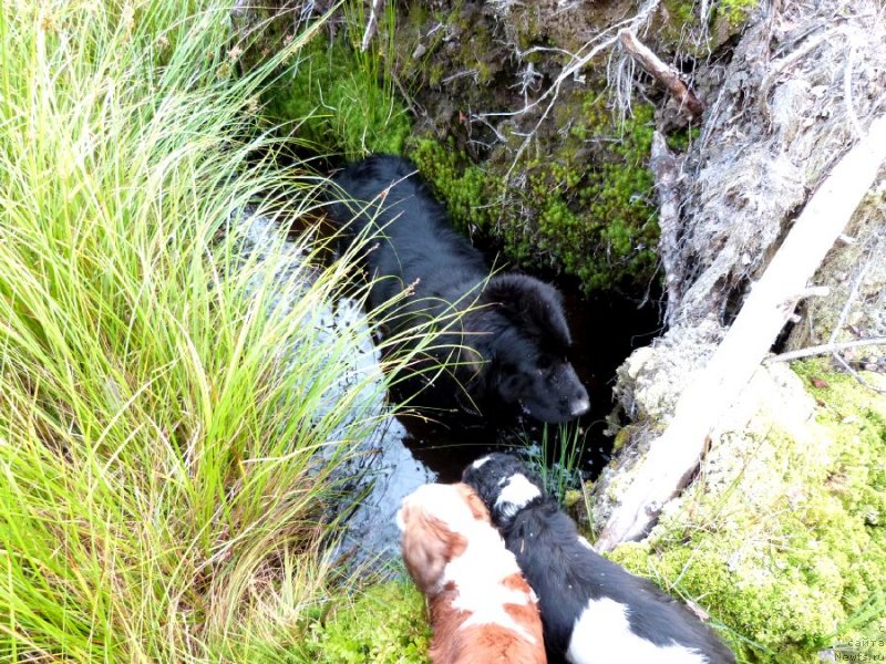 Фотография № 135046