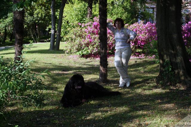 Фотография № 13505