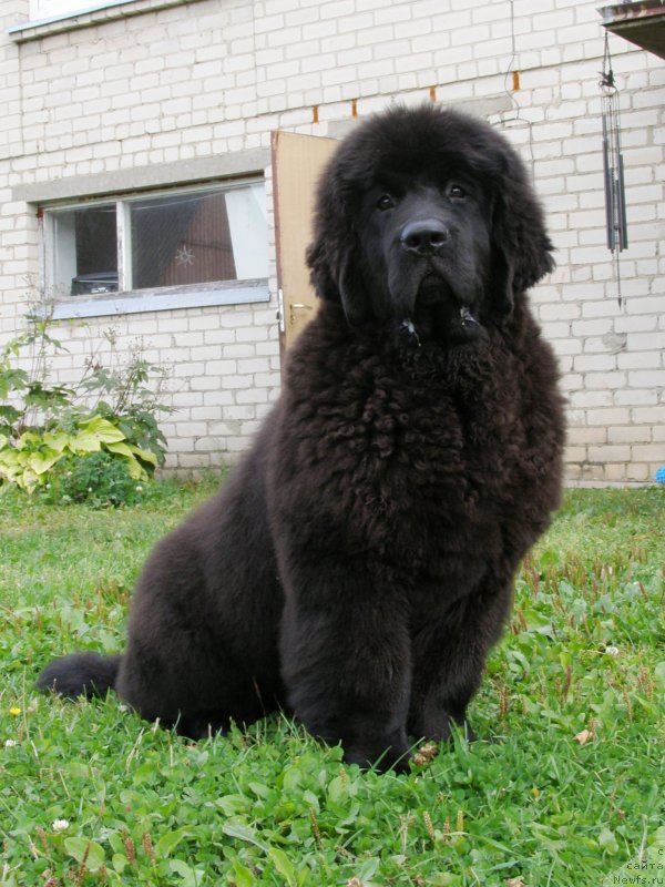 Фотография № 135059