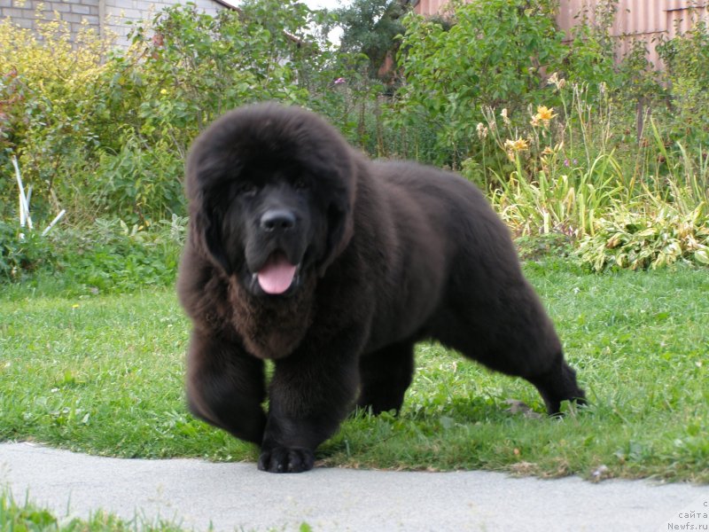 Фотография № 135061