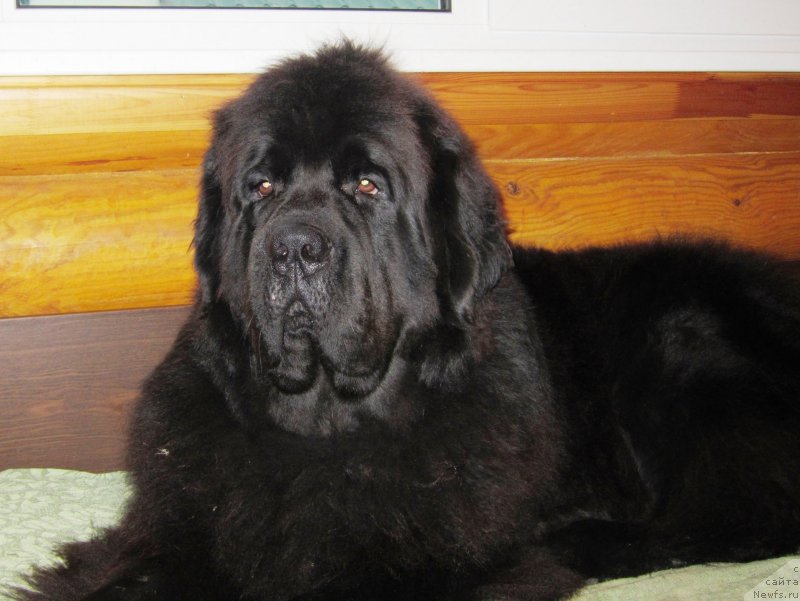 Фотография № 135084