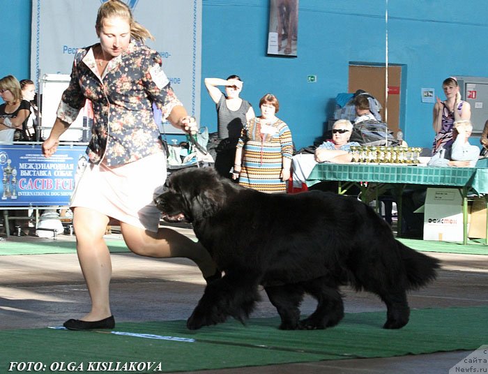 Фотография № 135085