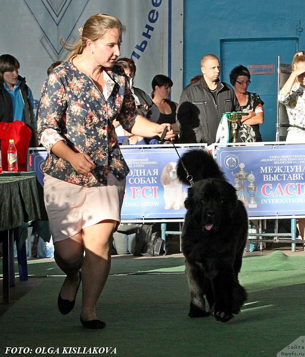 Фотография № 135088