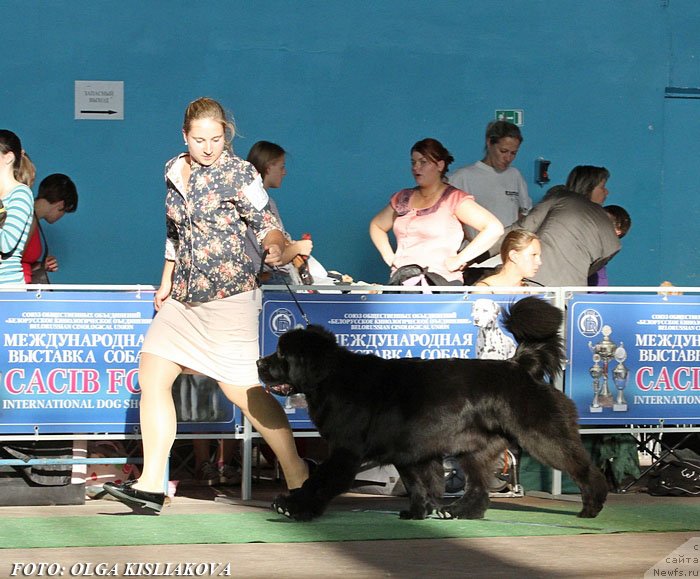 Фотография № 135090