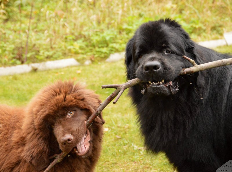 Фотография № 135097