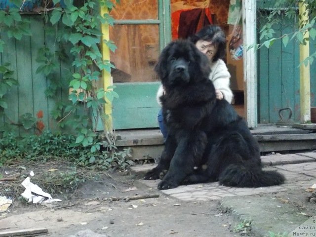 Фотография № 135117