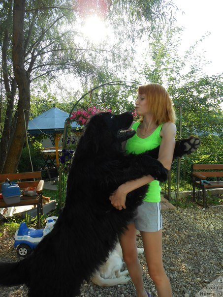 Фото: [p2805]на фото ему 1 год.