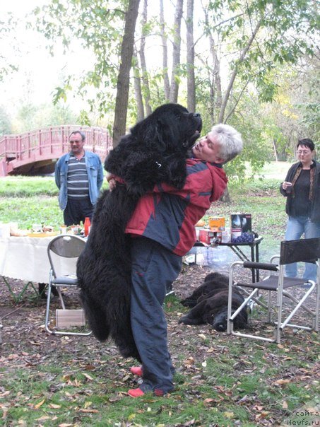 Фото: Донат Николаев