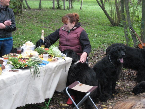 Фото: Ирина-хозяйка нашей мамы., ньюфаундленд Рика Трейси-Виктория