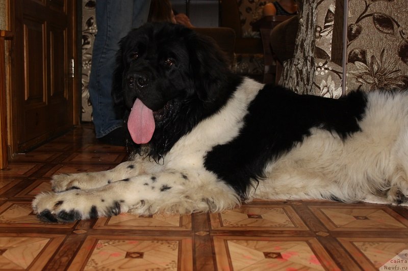 Фотография № 135136