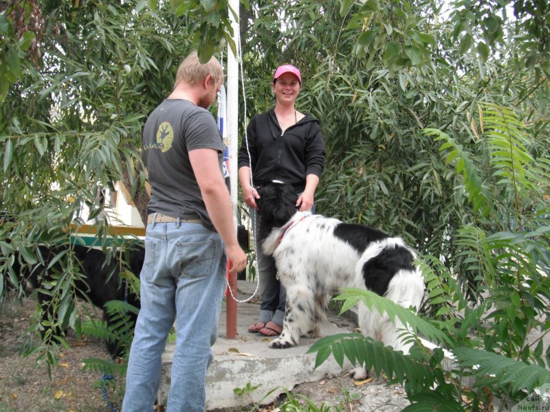 Фотография № 135157