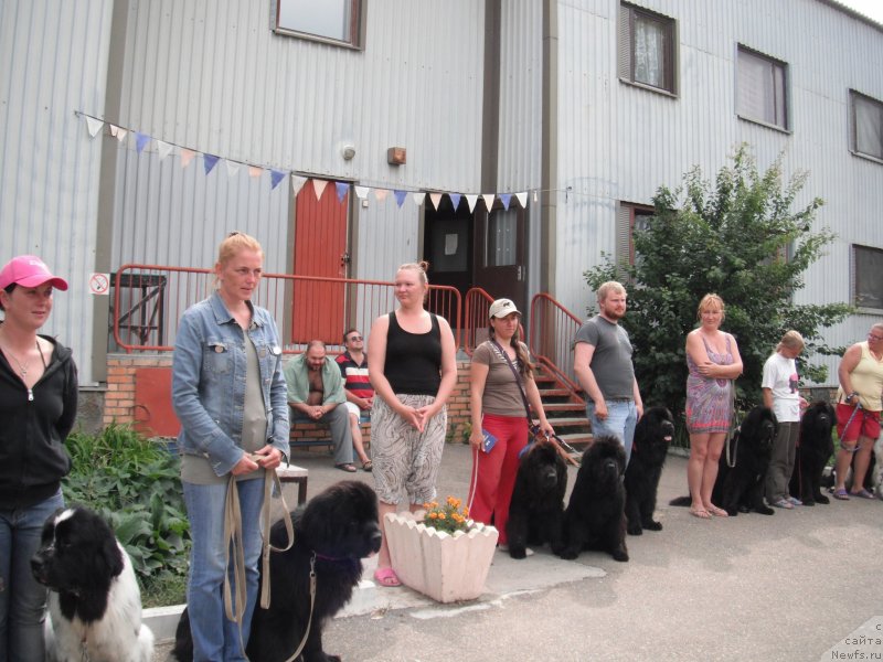 Фотография № 135158