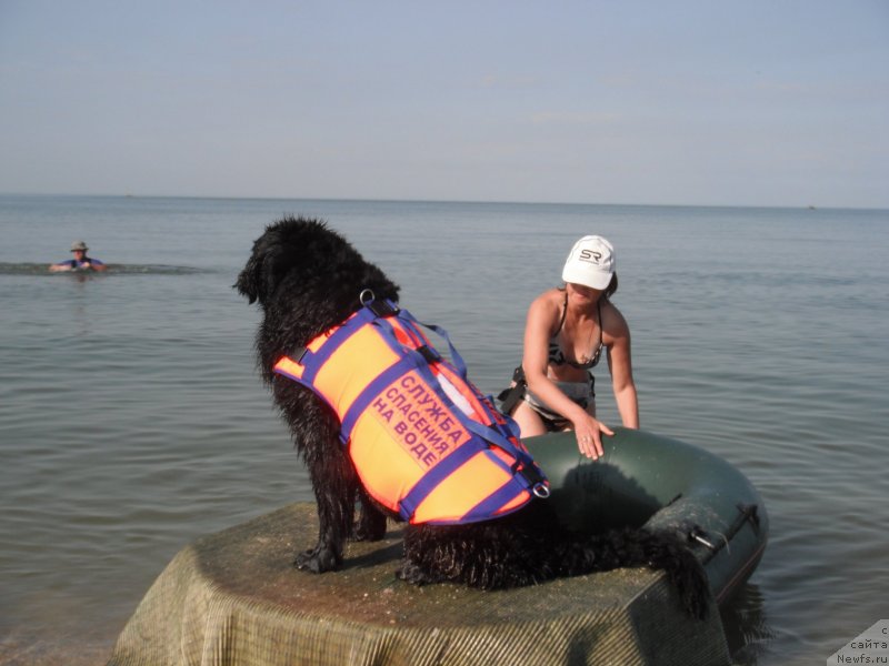 Фотография № 135160