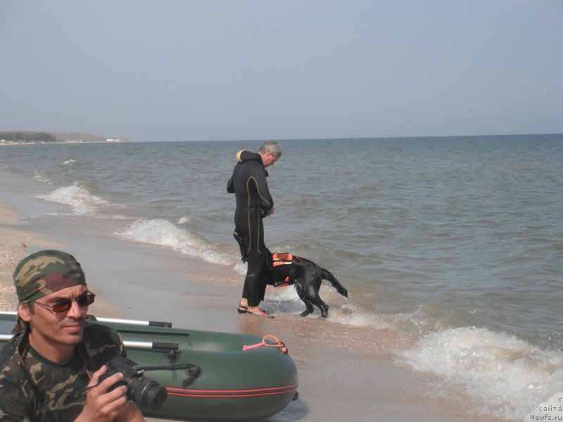 Фотография № 135161