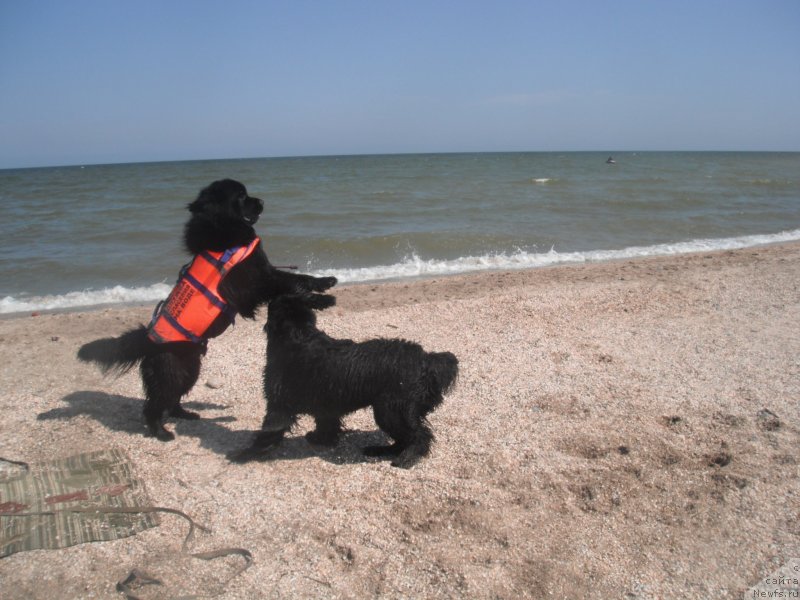 Фотография № 135164