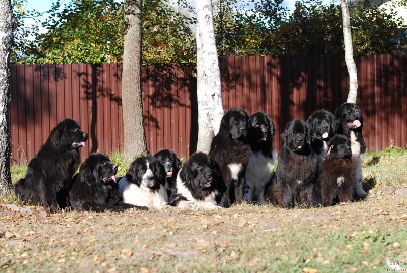 Фотография № 135181