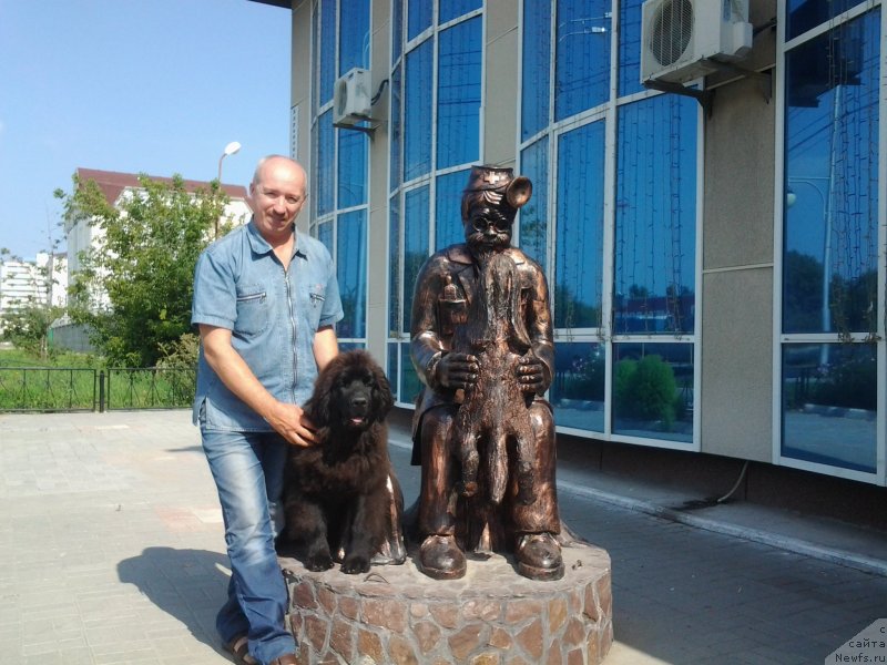 Фото: ньюфаундленд Акватория Келвин Шарлиз (Aquatoriya Kelvin Sharliz), Алексей Вотчал