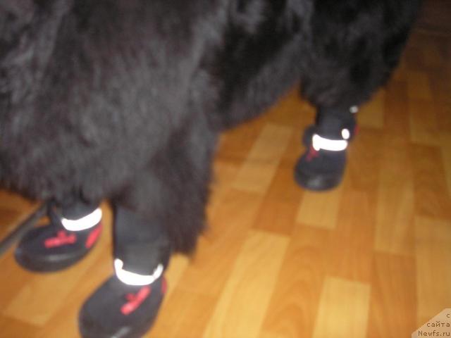 Фотография № 13521