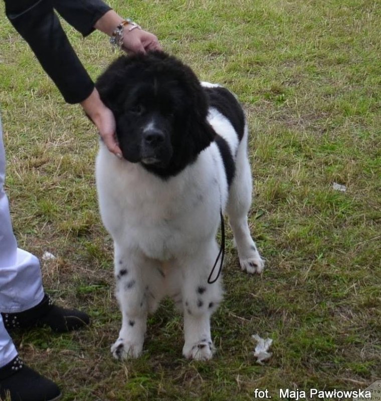 Фотография № 135254