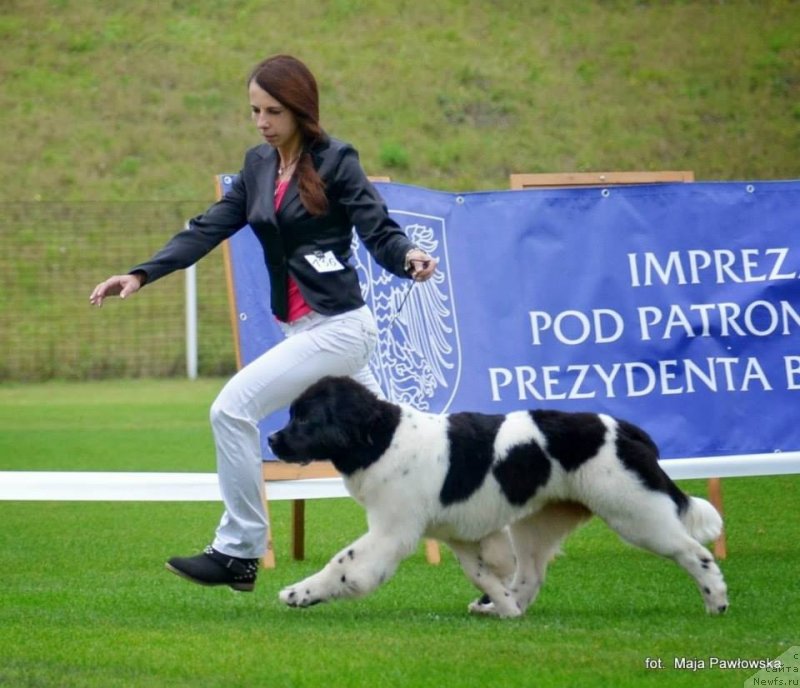 Фотография № 135256