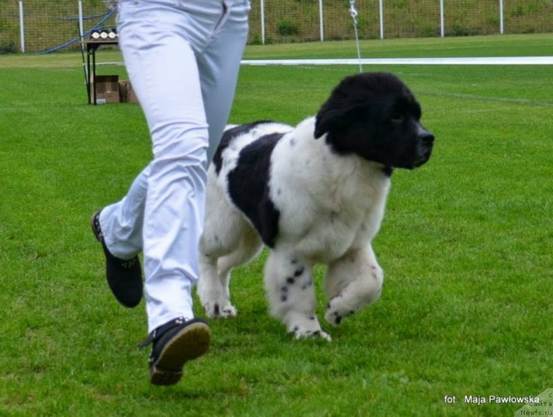 Фотография № 135258