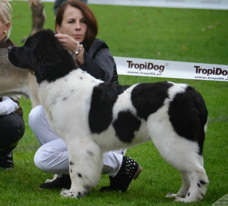 Фотография № 135262