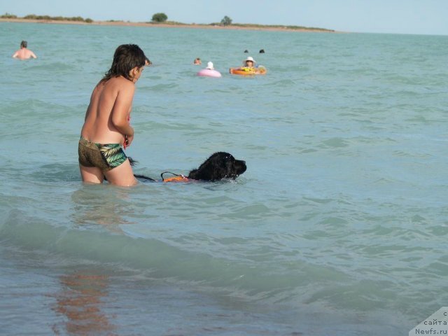 Фото: [d9818] и Ботов Данила