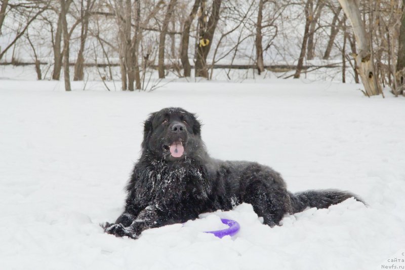 Фотография № 135289