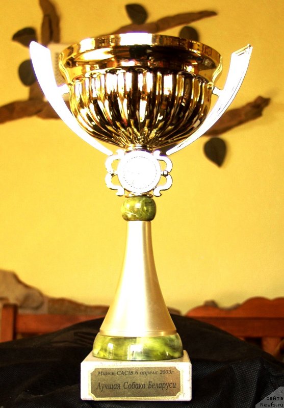 Фотография № 135332