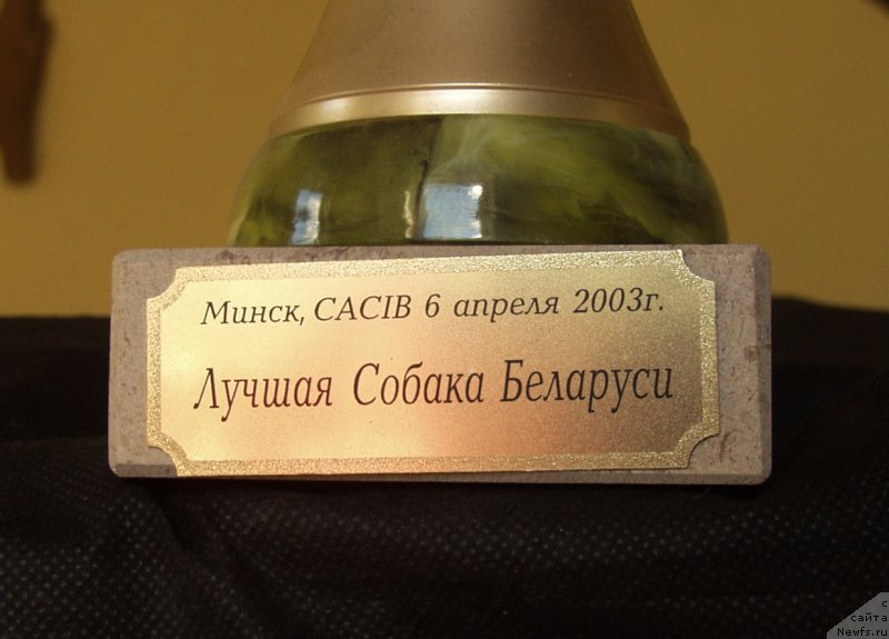 Фотография № 135333