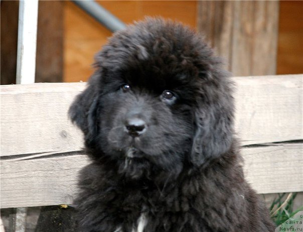 Фото: Кипер Соул Прауд Костомс