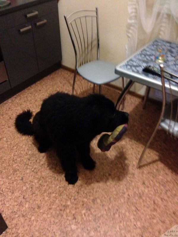 Фотография № 135368