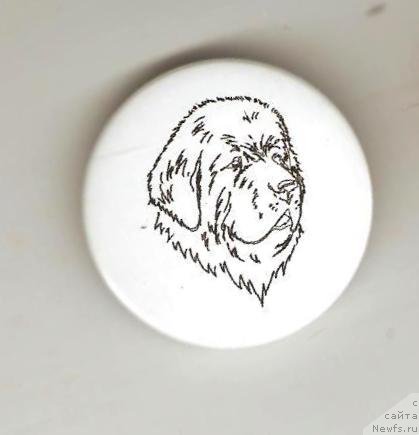 Фотография № 135370