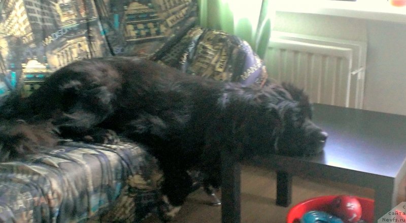 Фотография № 135377