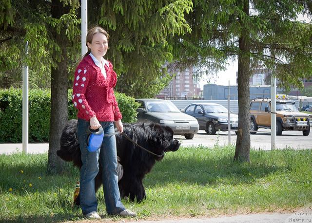 Фото: ньюфаундленд Юган с Тоянова Городка (Ygan s Toyanova Gorodka), Надежда Момот