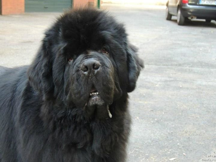 Фотография № 135433