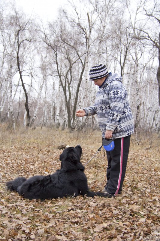 Фотография № 135492