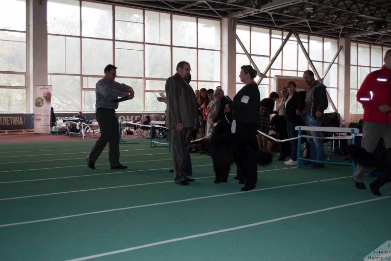 Фотография № 135501