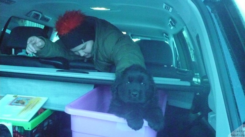 Фотография № 135526