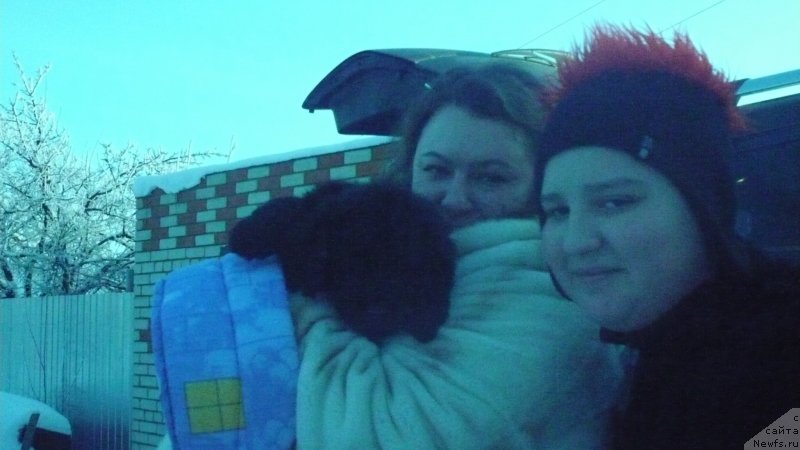 Фотография № 135527