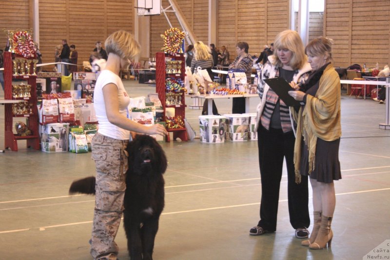 Фотография № 135533