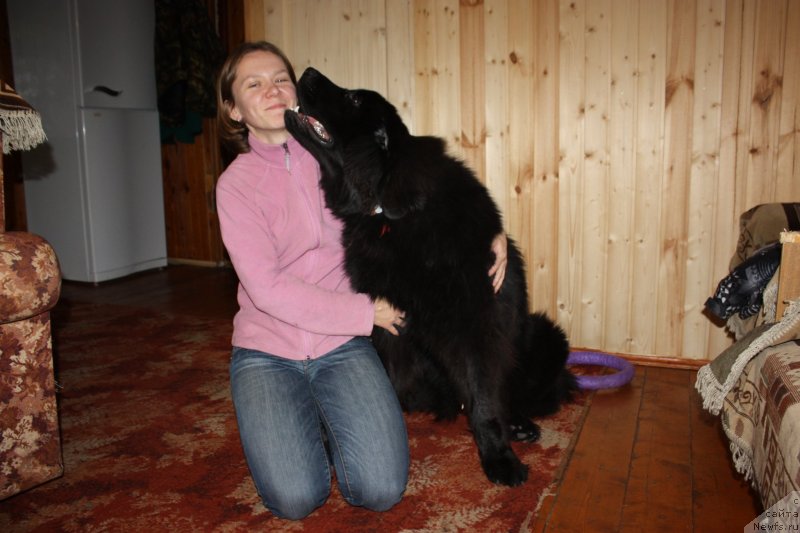 Фотография № 135548